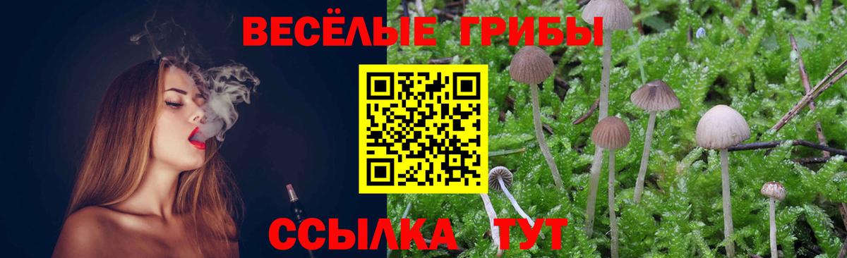 Галлюциногенные грибы GOLDEN TEACHER  Псилоцибиновые грибы MAGIC MUSHROOMS  Вход с VPN  Жигулёвск 